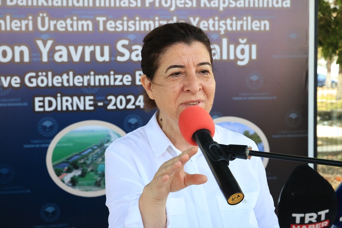 Edirne'de 10 Milyon Yavru Sazan Balığı Su Kaynaklarına Bırakıldı