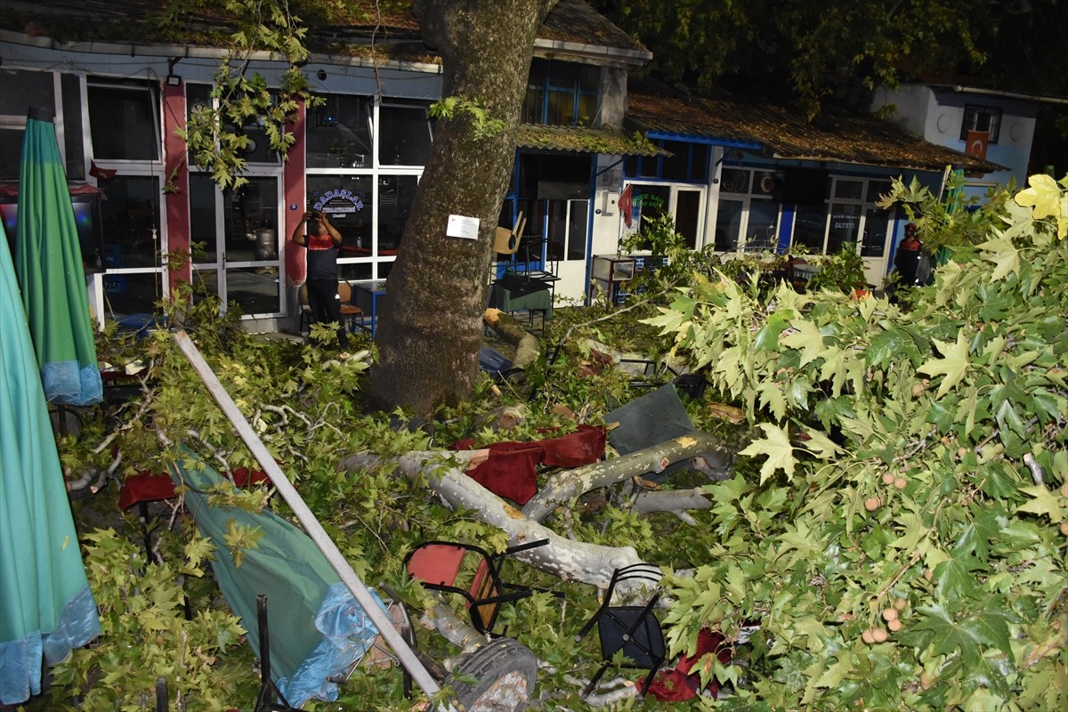 Kemalpaşa'da Asırlık Çınar Ağaçtan Düşen Dallar 9 Kişiyi Yaraladı