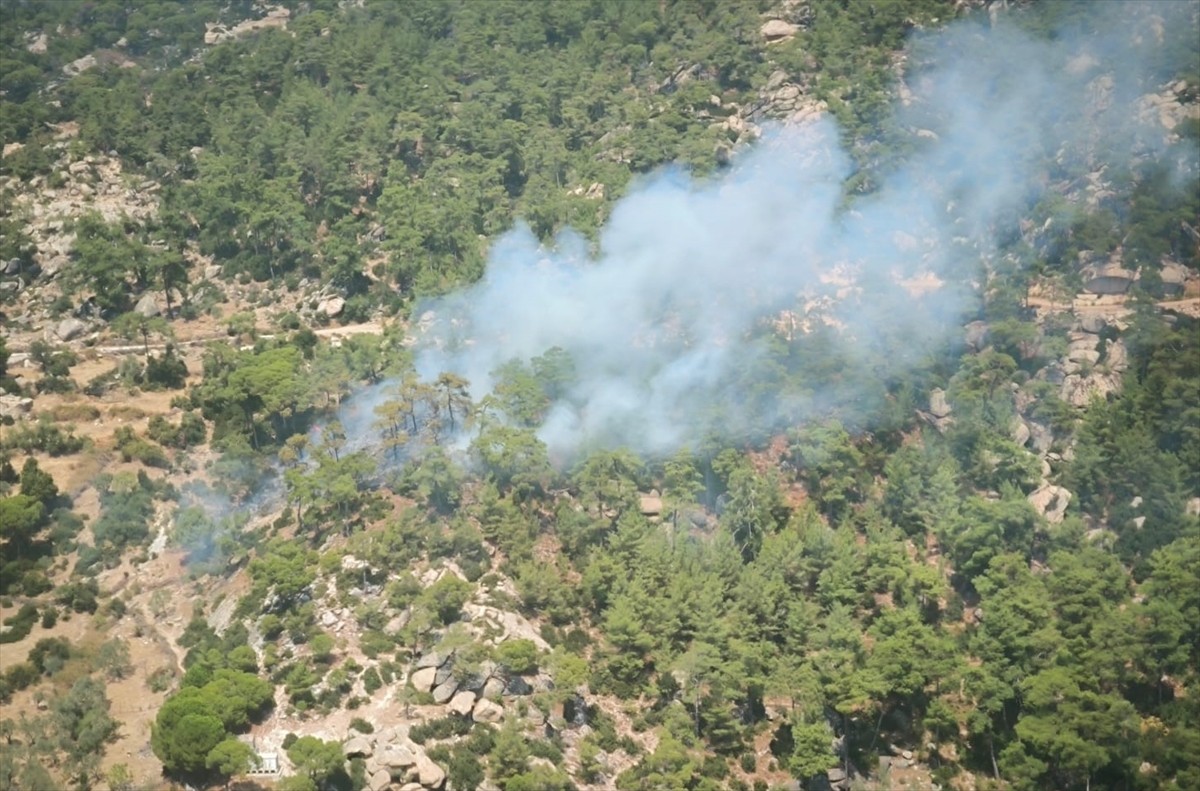 Muğla Yatağan'da Orman Yangınına Hızlı Müdahale