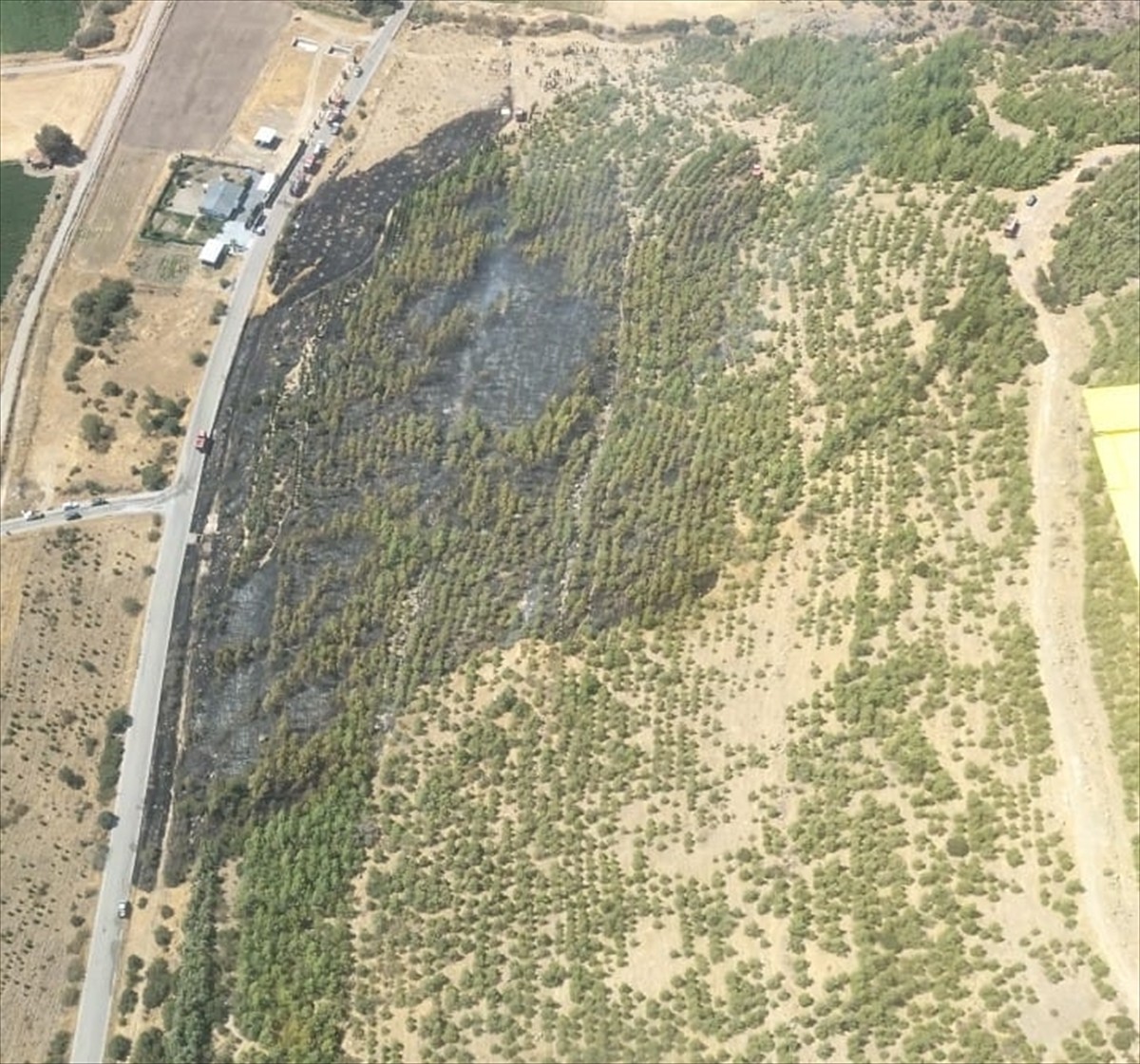 Bergama'da Orman Yangını Kontrol Altına Alındı