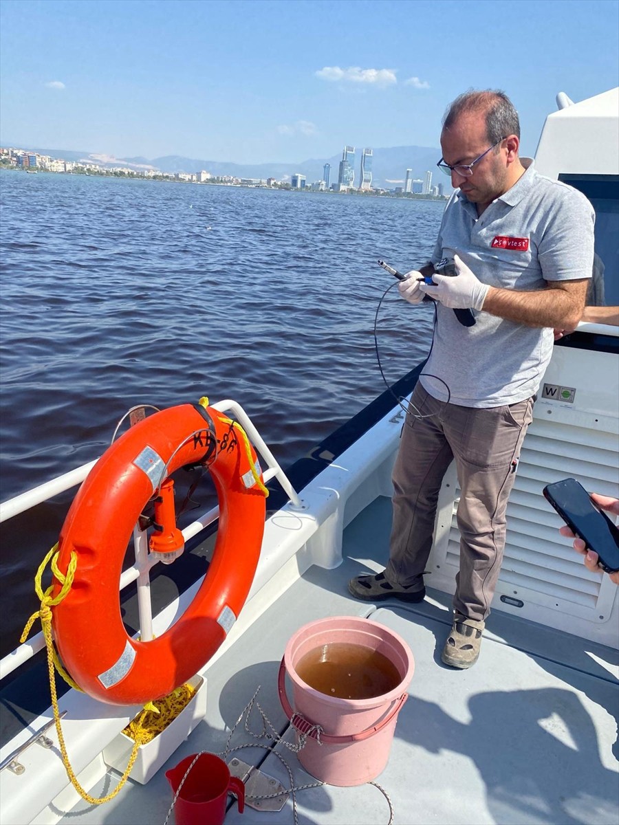 İzmir Körfezi'nde Balık Ölümleri İnceleniyor