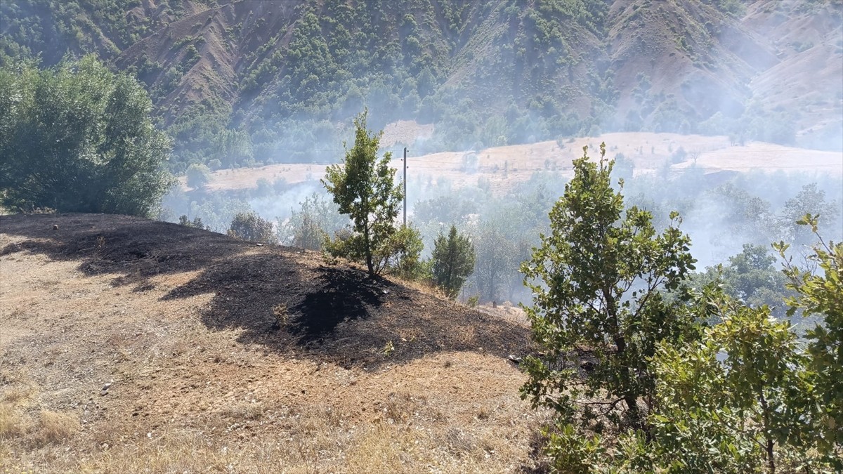 Tunceli'deki Orman Yangınına Müdahale Başlatıldı