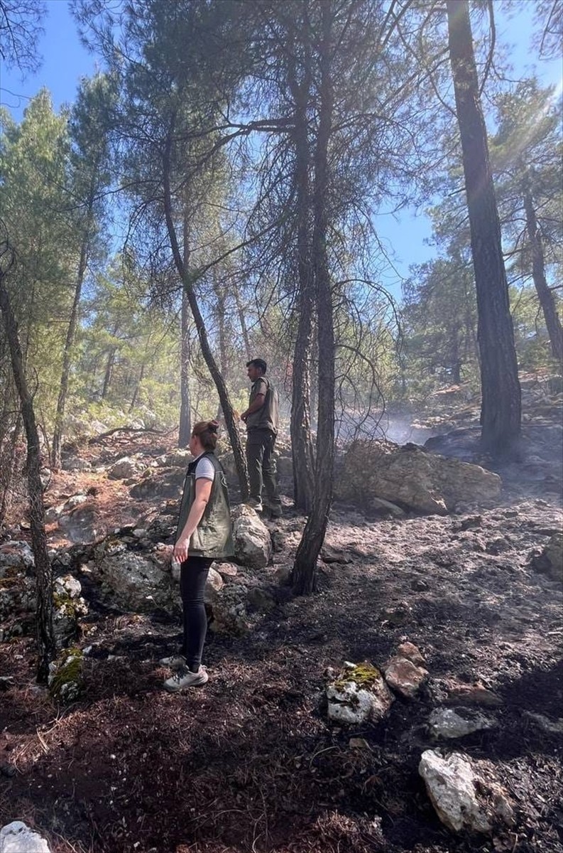 Burdur'daki Orman Yangını Kontrol Altına Alındı