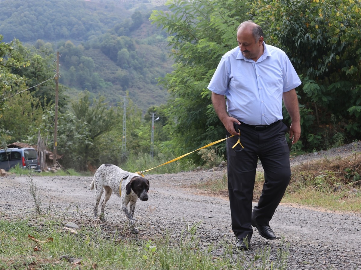 Samsun Salıpazarı'nda Belediye Başkanı'ndan Örnek Davranış: Hasta Köpeği Sahiplendi