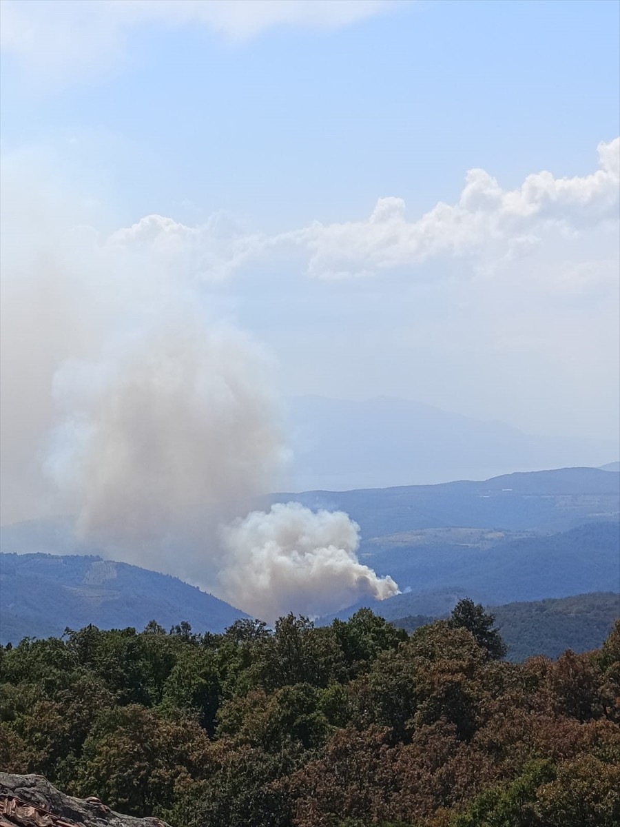 Bursa'da Orman Yangınına Hızla Müdahale Ediliyor