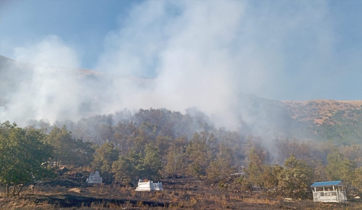 Tunceli'de Orman Yangını: Ekipler Müdahale Ediyor