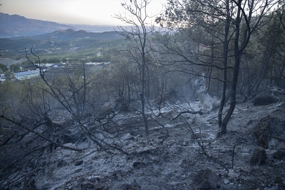 Tunceli'deki Orman Yangını Kontrol Altına Alındı