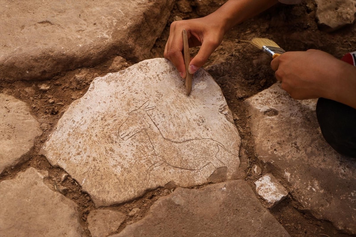 Karahantepe'de Yaban Eşeği Figürü Bulundu