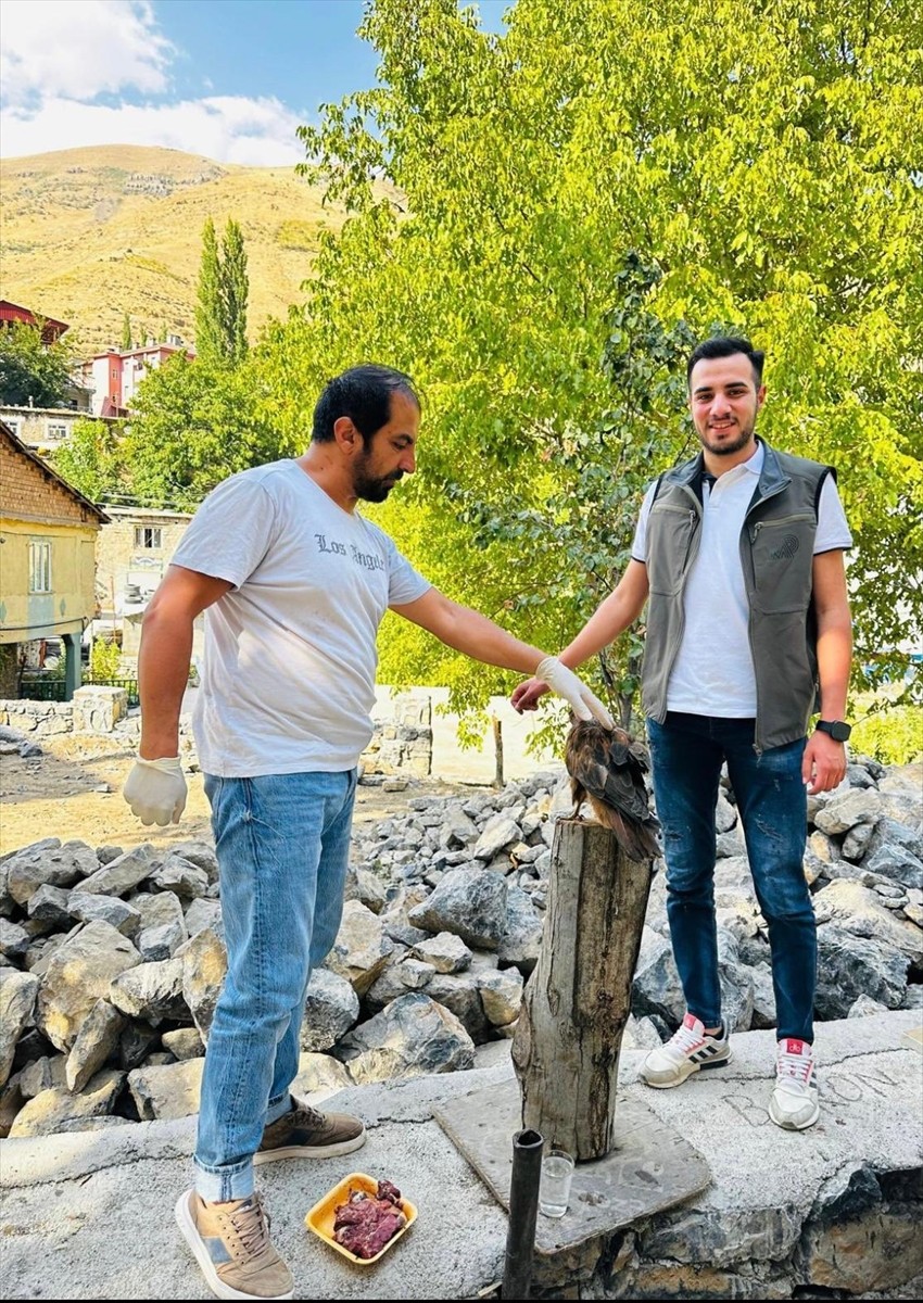 Şırnak'ta Yaralı Kaya Kartalı Kurtarıldı