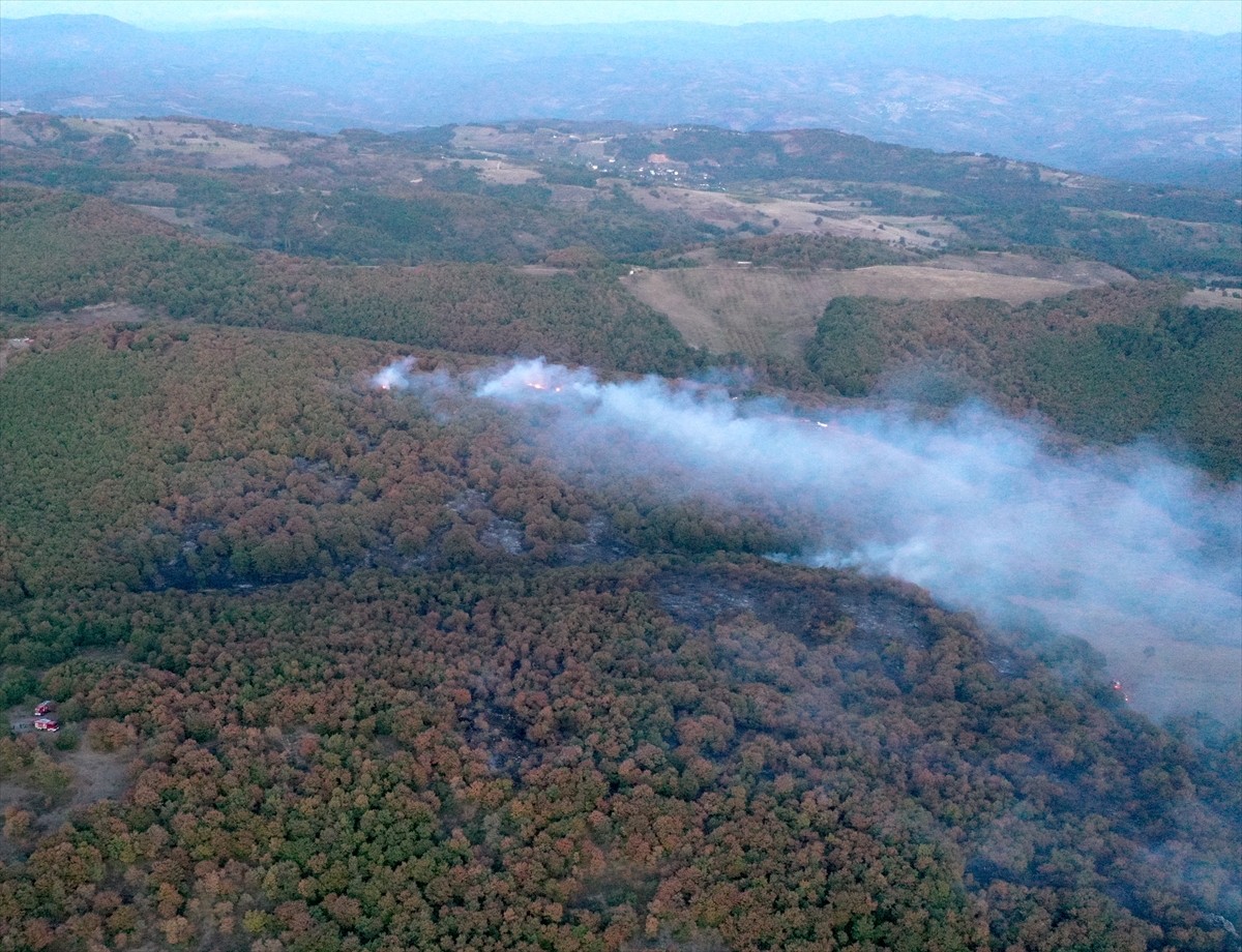 Kocaeli'nin Karamürsel İlçesinde Orman Yangını Kontrol Altına Alındı