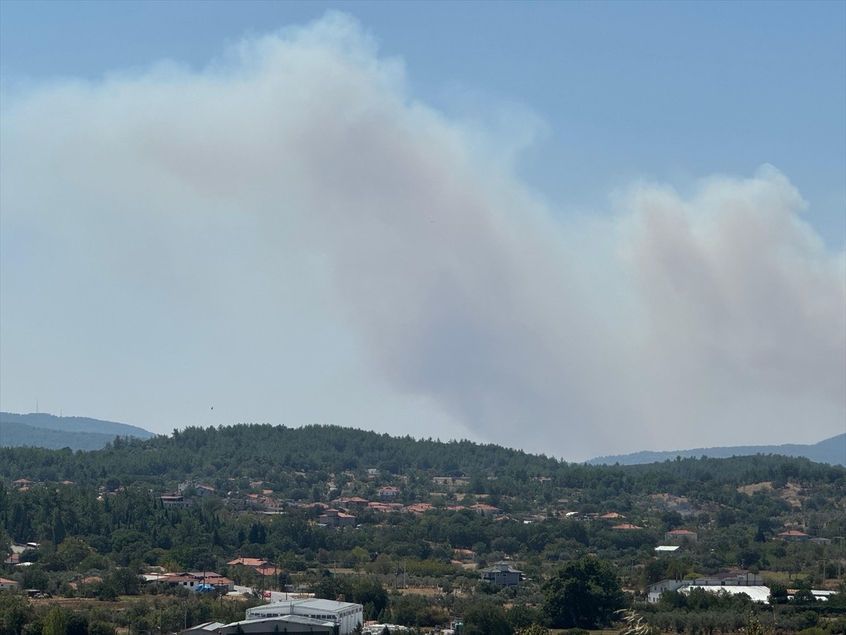 Muğla'daki Orman Yangınına Müdahale Başlatıldı