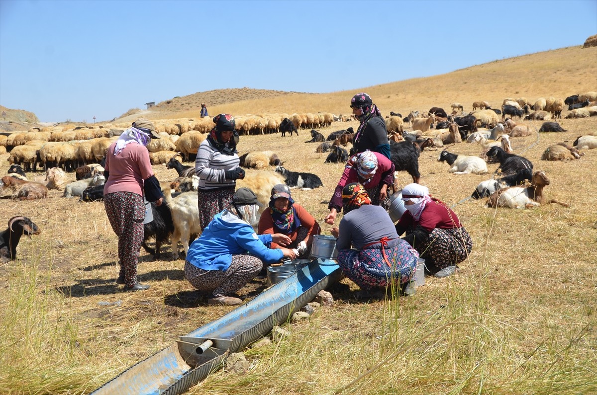 Yüksekova'da Berivan Kadınlar Aile Bütçelerine Destek Oluyor