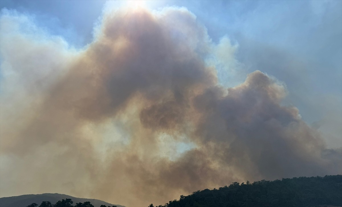 Muğla'daki Orman Yangınına Hızla Müdahale Devam Ediyor