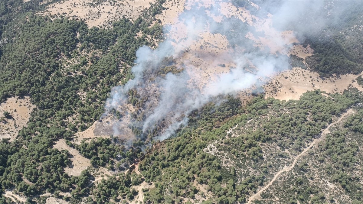 Kaş'ta Orman Yangınına Hızla Müdahale Ediliyor