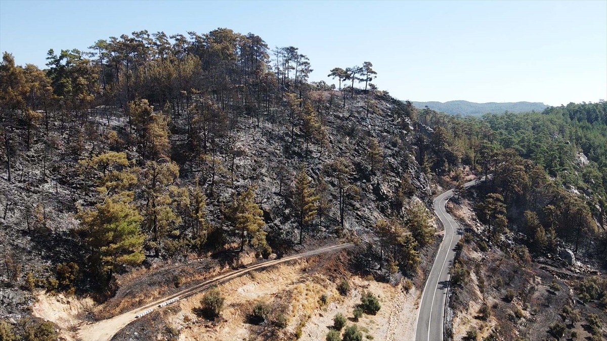 Muğla Orman Yangınına Havadan ve Karadan Müdahale