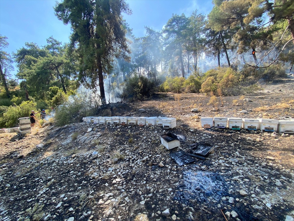 Kaş'taki Orman Yangını Şüphelisi Serbest Bırakıldı