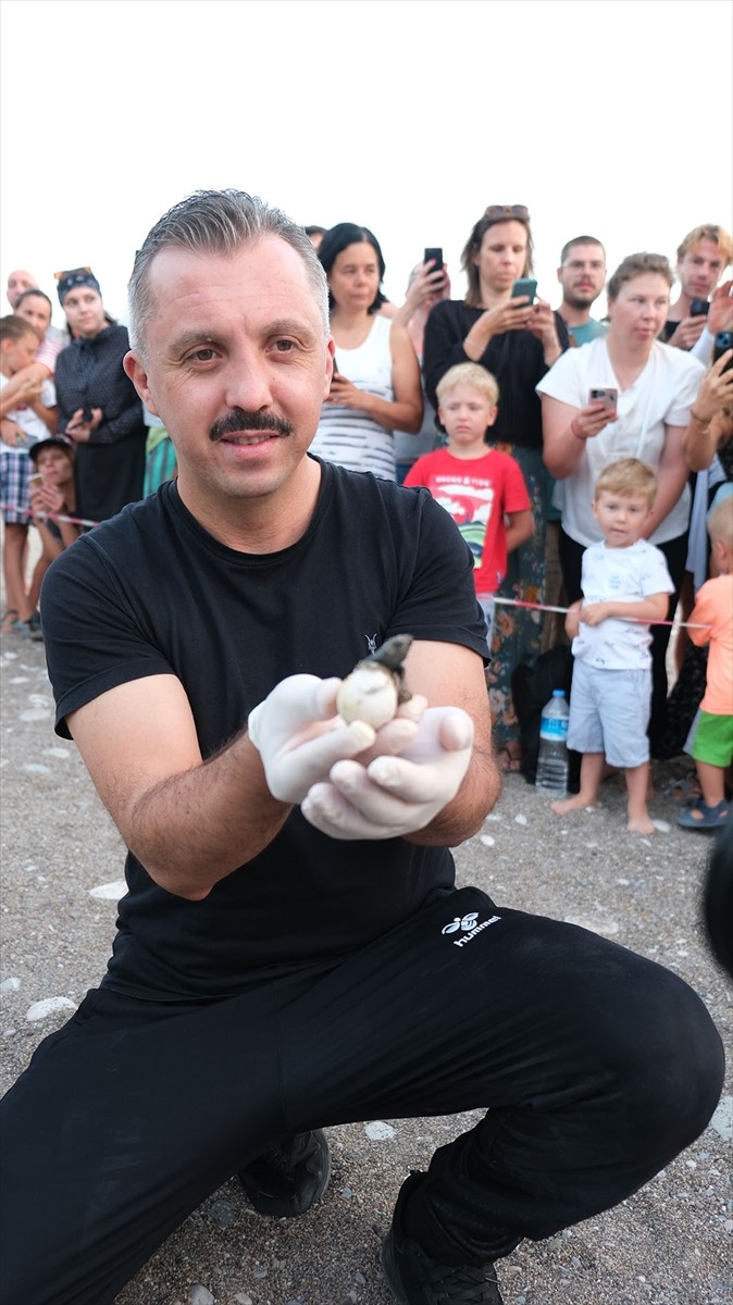 Çıralı Sahilinde Caretta Caretta Sevinci