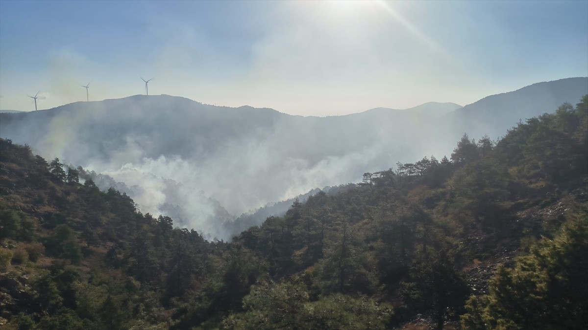 Hatay'da Orman Yangınına Hava ve Karadan Müdahele