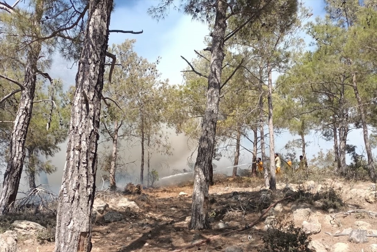 Mersin'in Gülnar İlçesinde Üzücü Orman Yangını Kontrol Altına Alındı