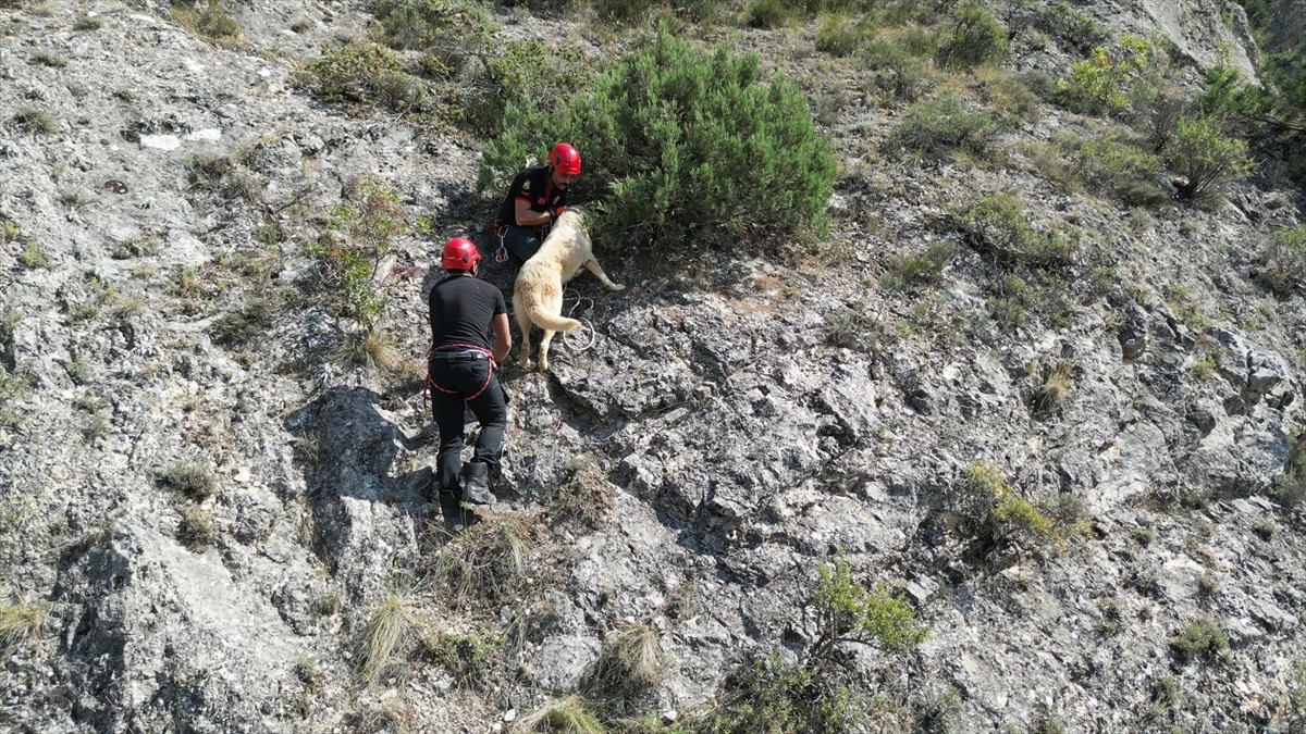 Çorum'da İtfaiye Ekipleri Tarafından Kurtarılan Köpek Sevindiriyor