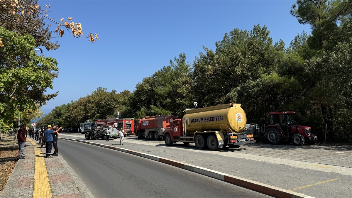 OMÜ Kampüsündeki Ormanlık Alanda Yangın Çıkmıştır