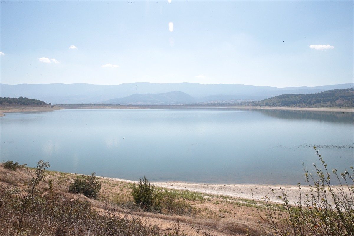 Bolu Gölköy Barajı'nda Su Seviyesi Kritik Düzeye İndi