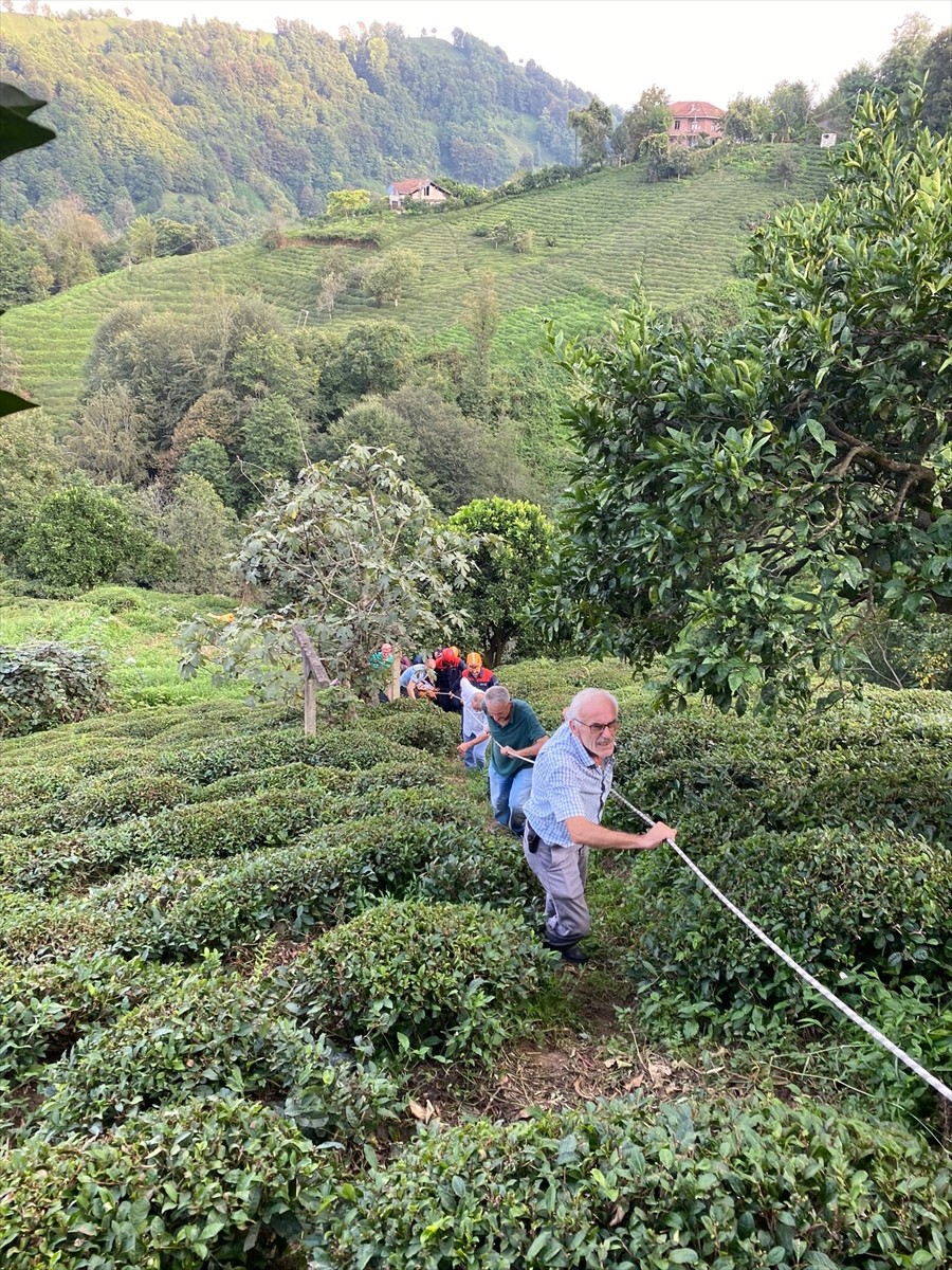 Rize'de Teleferik Kazası: Çay Bahçesine Atlayan Kadın Yaralandı