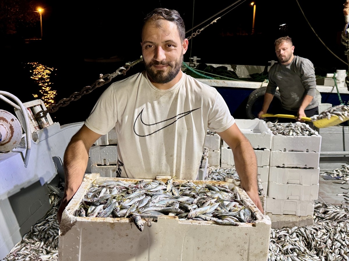 Kocaali'de Balıkçıların Bereketli Avı: 10 Ton İstavrit