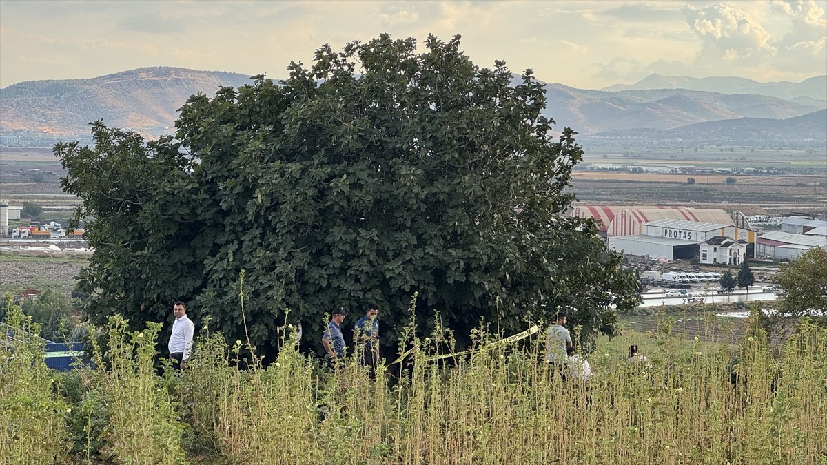 Kahramanmaraş'ta Yıldırım Çobanı Hayattan Kopardı