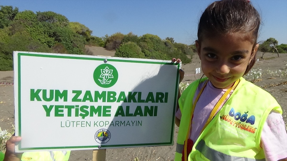 Mersin'deki Kum Zambakları İçin Sıkı Koruma Önlemi