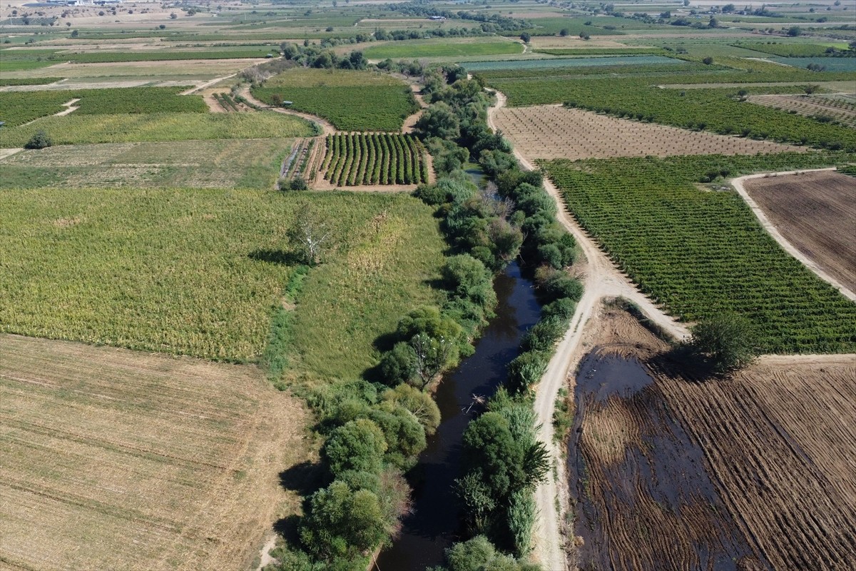 Gediz Nehri'nde Balık Ölümleri Üzerine İnceleme Başlatıldı