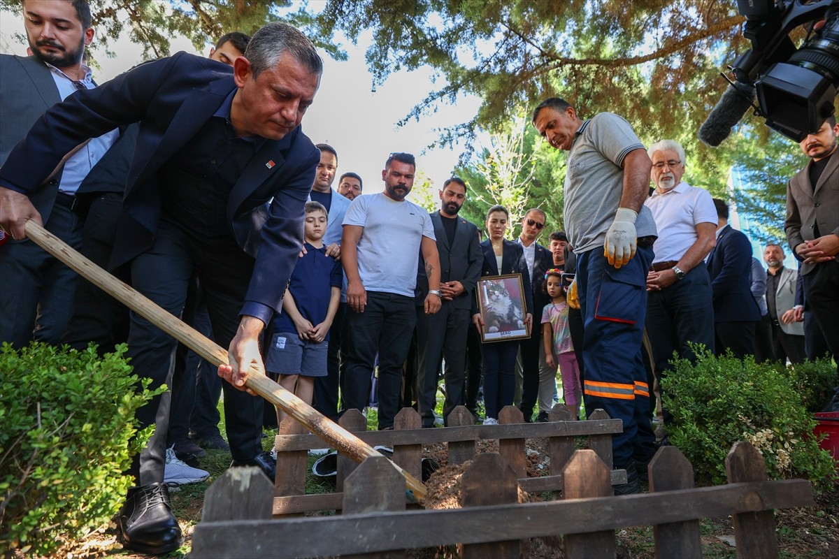 CHP Genel Merkezi'nde Kedilere Veda: Şero Son Yolculuğuna Uğurlandı