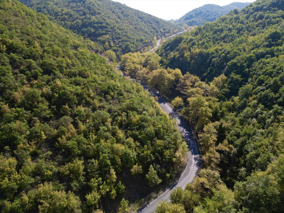 Ganos Dağı'nda Sonbahar Renkleri