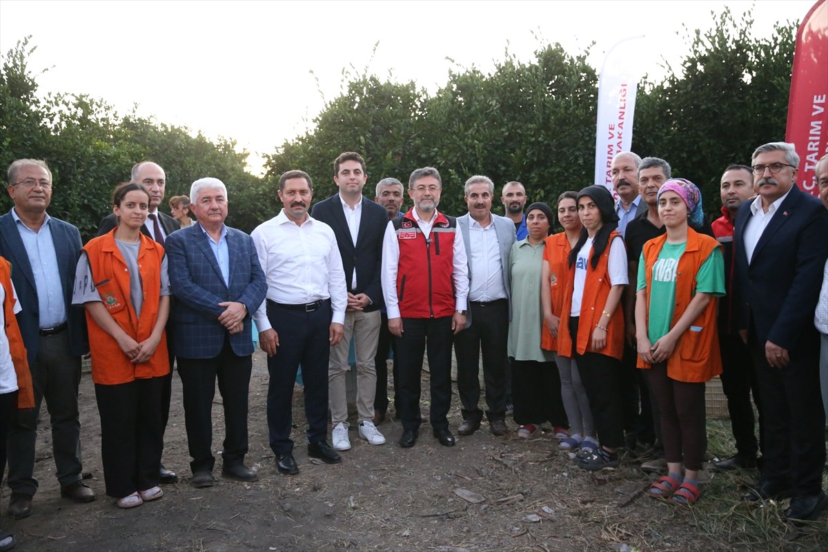 Bakan İbrahim Yumaklı'nın Hatay'daki Narenciye Hasadı Ziyareti