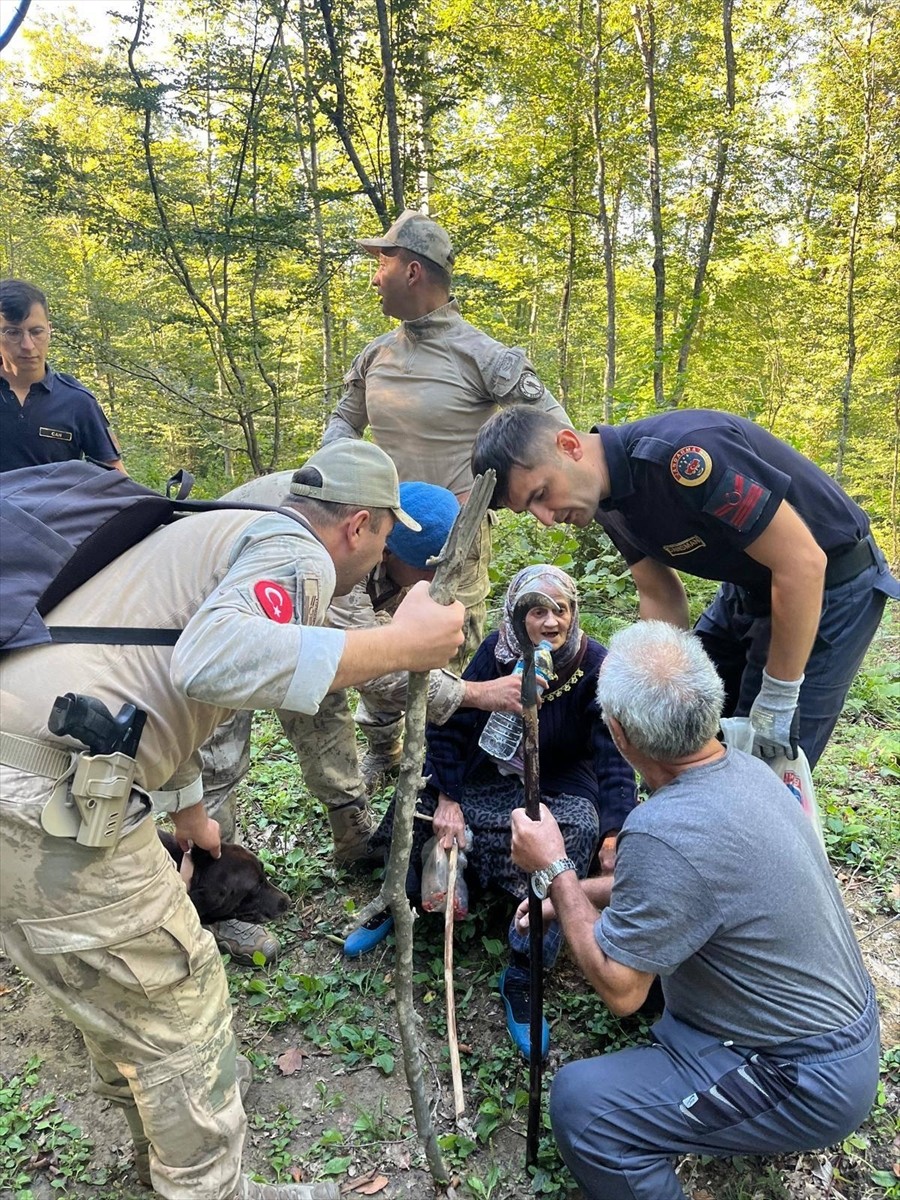 Sinop'ta Mantar Toplayan Kadın Ormanda Bulundu