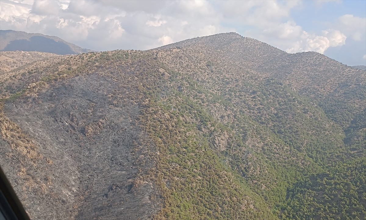 Alaşehir'deki Orman Yangını Kontrol Altına Alındı