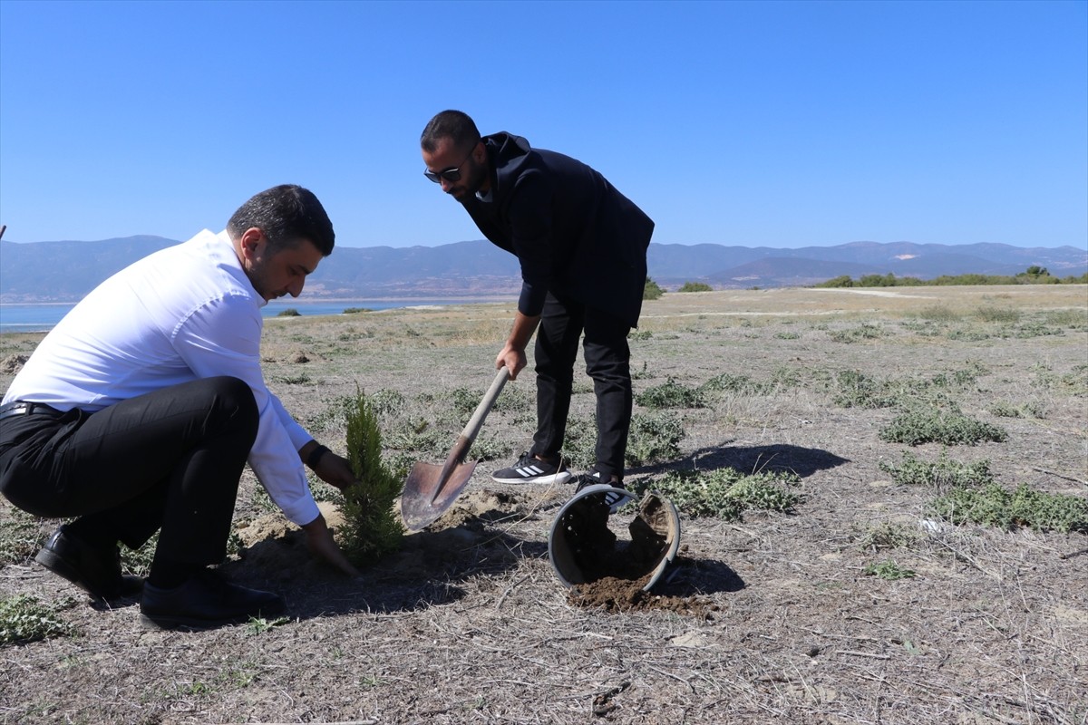 Burdur Gölü'nde Ağaç Dikimi: Gazeteciler Doğaya Sahip Çıkıyor