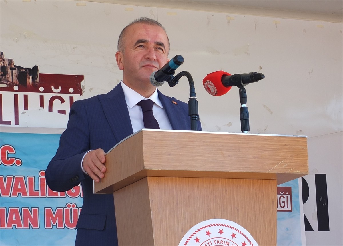 Elazığ'da 3 Milyon Sazan Yavrusu Göletlere Bırakılıyor