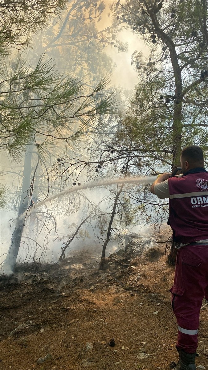 Mersin'deki Orman Yangını Kontrol Altına Alındı