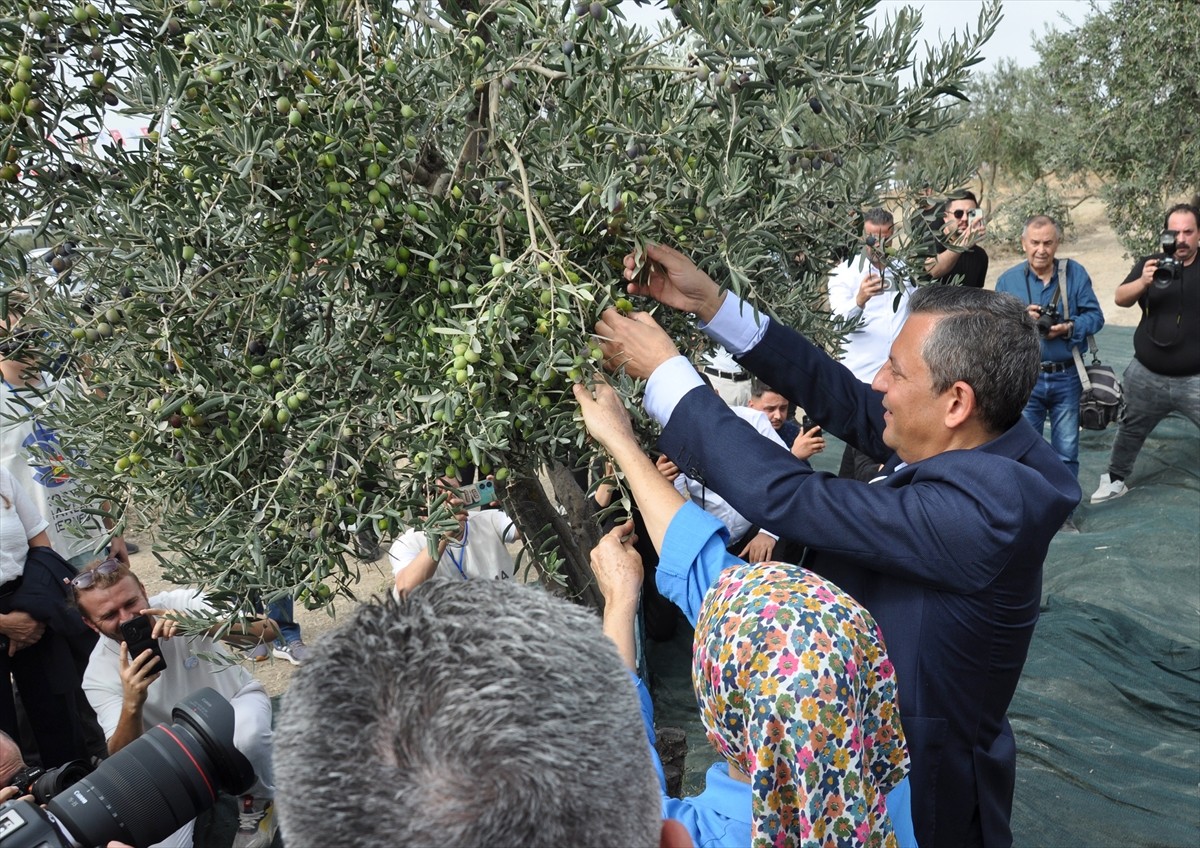 CHP Genel Başkanı Özgür Özel Manisa'da Zeytin Şenliğinde