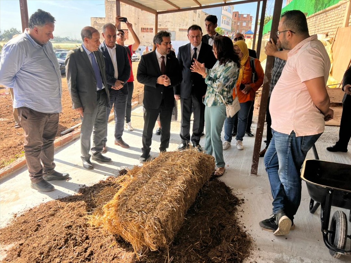 Cezayir'de Mantar Üretim Çiftliği Açıldı