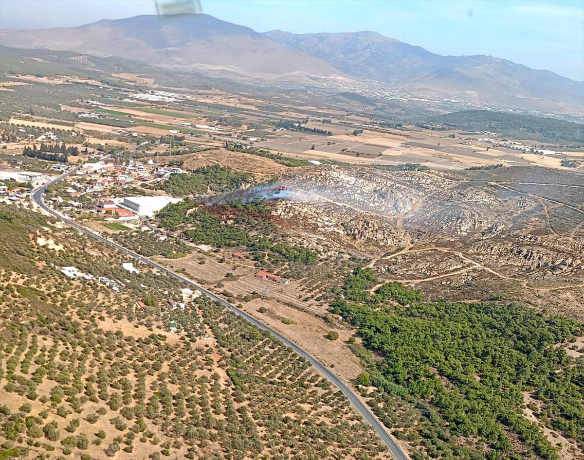 Foça'da Yangın Alarmı: Ormanlık Alanı Tehdit Ediyor