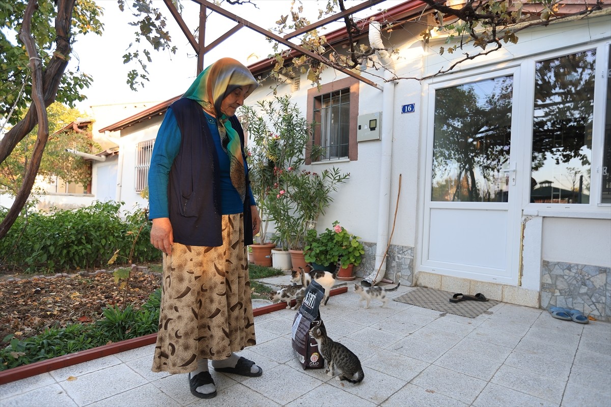 Kayseri'de Yaşlı Kadına Kedileri İçin Mama Desteği