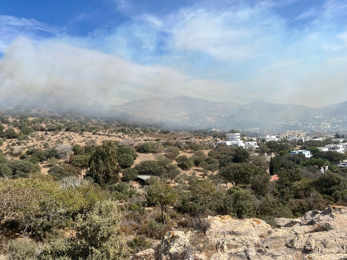 Bodrum'da Yangın: 5 Hektar Makilik Alan Zarar Gördü