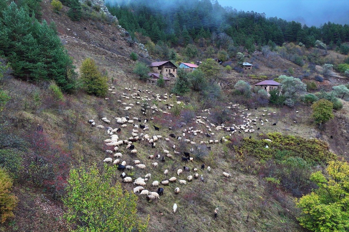 Zigana Dağı Sonbahar Güzellikleriyle Kaplandı