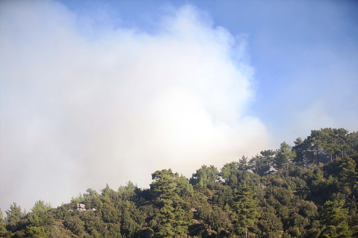 Muğla'daki Orman Yangınlarına Müdahale Devam Ediyor