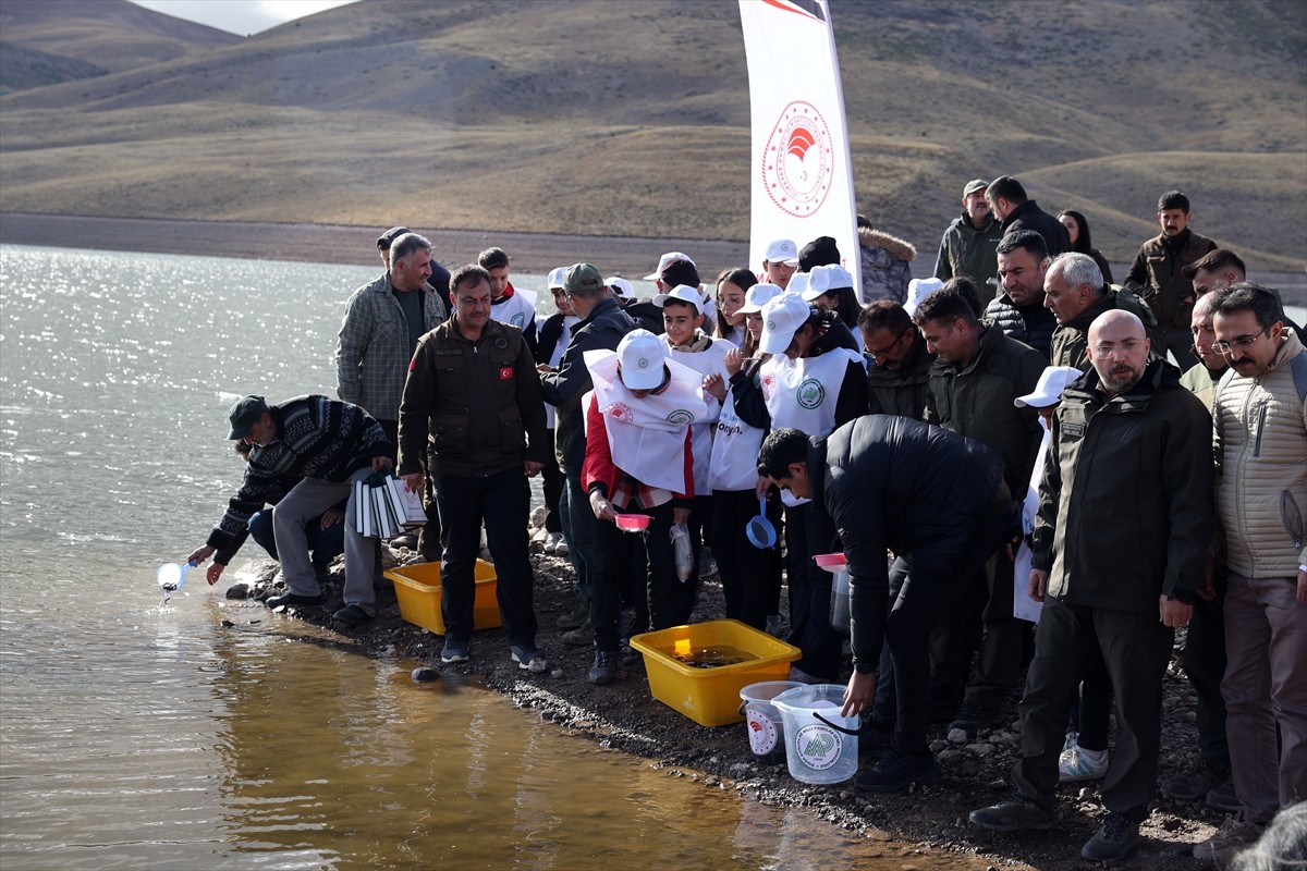 Eğrisu Göleti'ne 10 Bin Kırmızı Benekli Alabalık Yavrusu Salındı