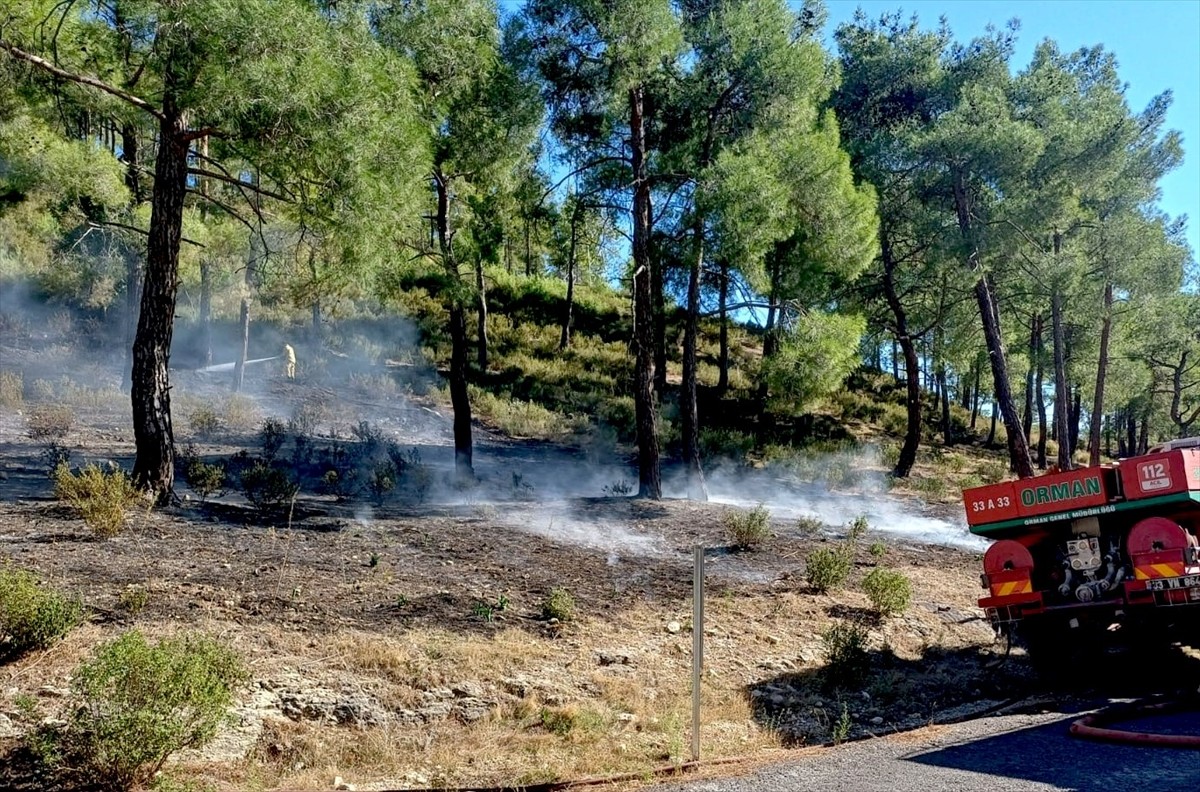 Mersin Erdemli'de Orman Yangını Kontrol Altına Alındı