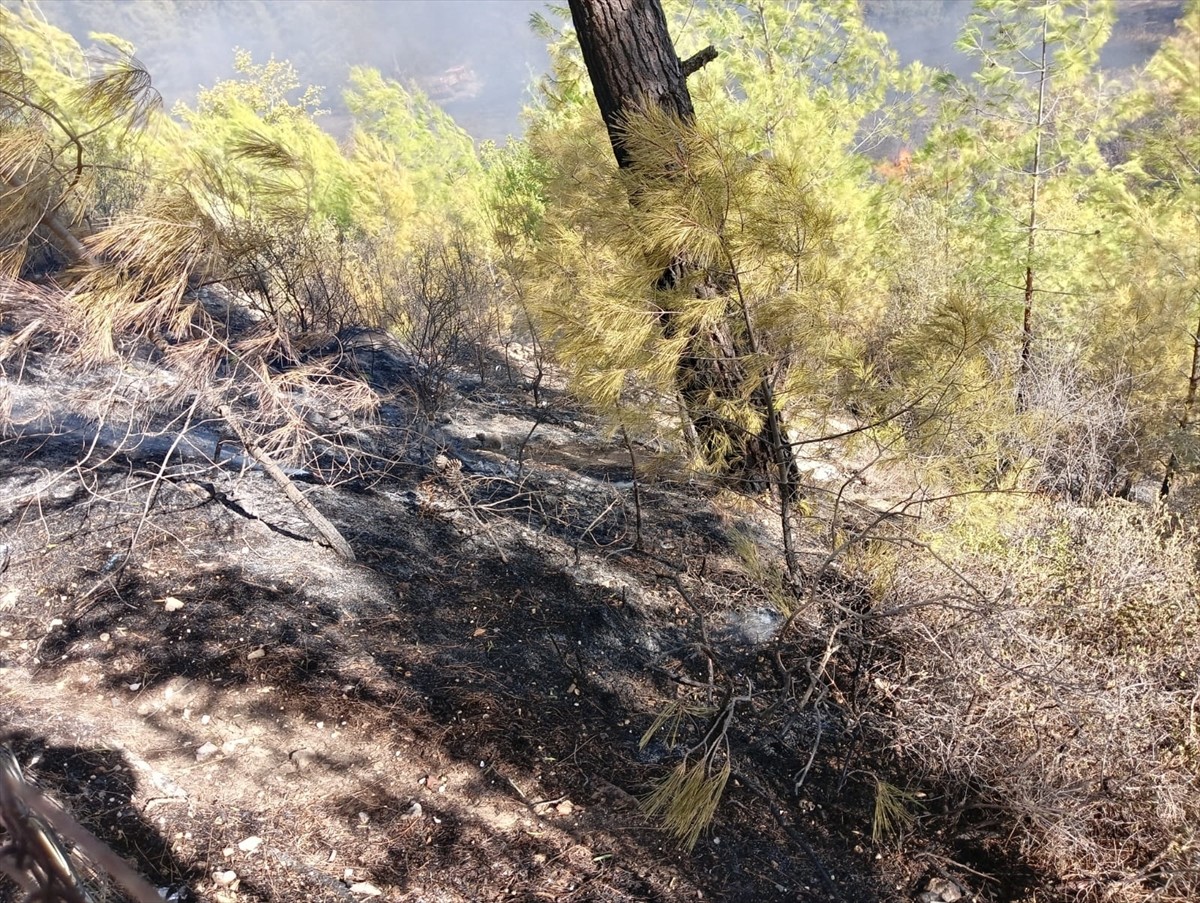 Antalya'da Orman Yangını: 2 Hektar Alan Zarar Gördü