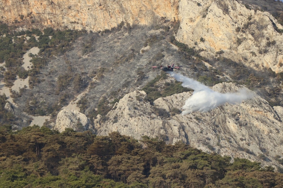 Menteşe'deki Orman Yangını Kontrol Altına Alındı